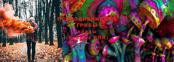 шишки Богданович